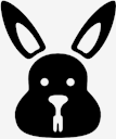 bunny