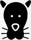 feline