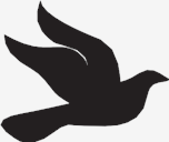 dove