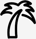 palm,tree
