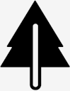 pine,tree