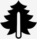 pine,tree