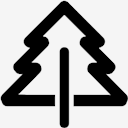 pine,tree