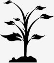 plant,tree