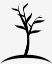 young,tree
