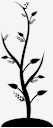 young,tree