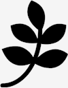 branch