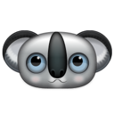 animal,koala