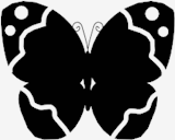 butterfly