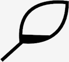 leaf