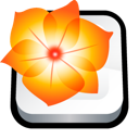 adobe,illustrator