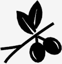 olives
