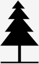 pine