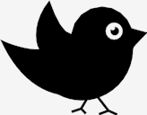 black,bird