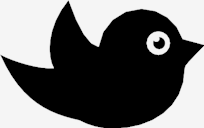 black,bird