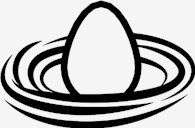 egg