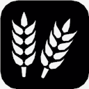 grain