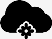 snow