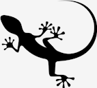 gecko