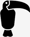 toucan