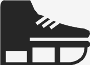 skating,shoes