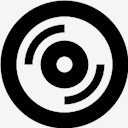 vinyl