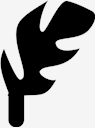 feather