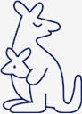 kangaroo