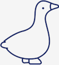 Goose
