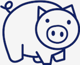 pig