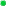 bullet,green
