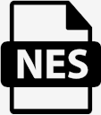 nes