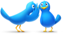 animals,bird,birds,twitter