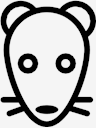 rat