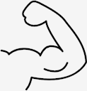 muscle