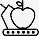 fruit