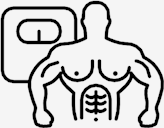 muscular