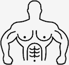 muscular