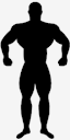 muscular