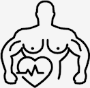 muscular