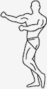 muscular