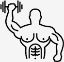 muscular