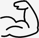 muscular