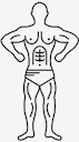 muscular