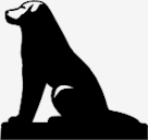 hachiko