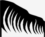 the