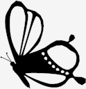 beauty,Butterfly