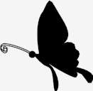 black,Butterfly
