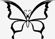 butterfly