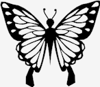 butterfly